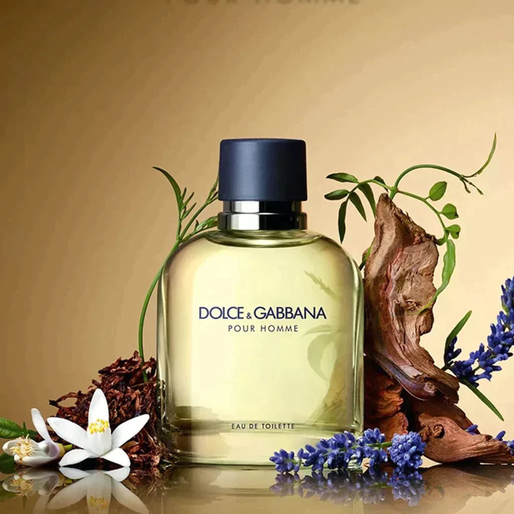 Perfume - Dolce&Gabbana Pour Homme Eau de Toilette - Perfume Masculino - Fragance