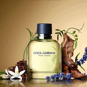 Perfume - Dolce&Gabbana Pour Homme Eau de Toilette - Perfume Masculino - Fragance